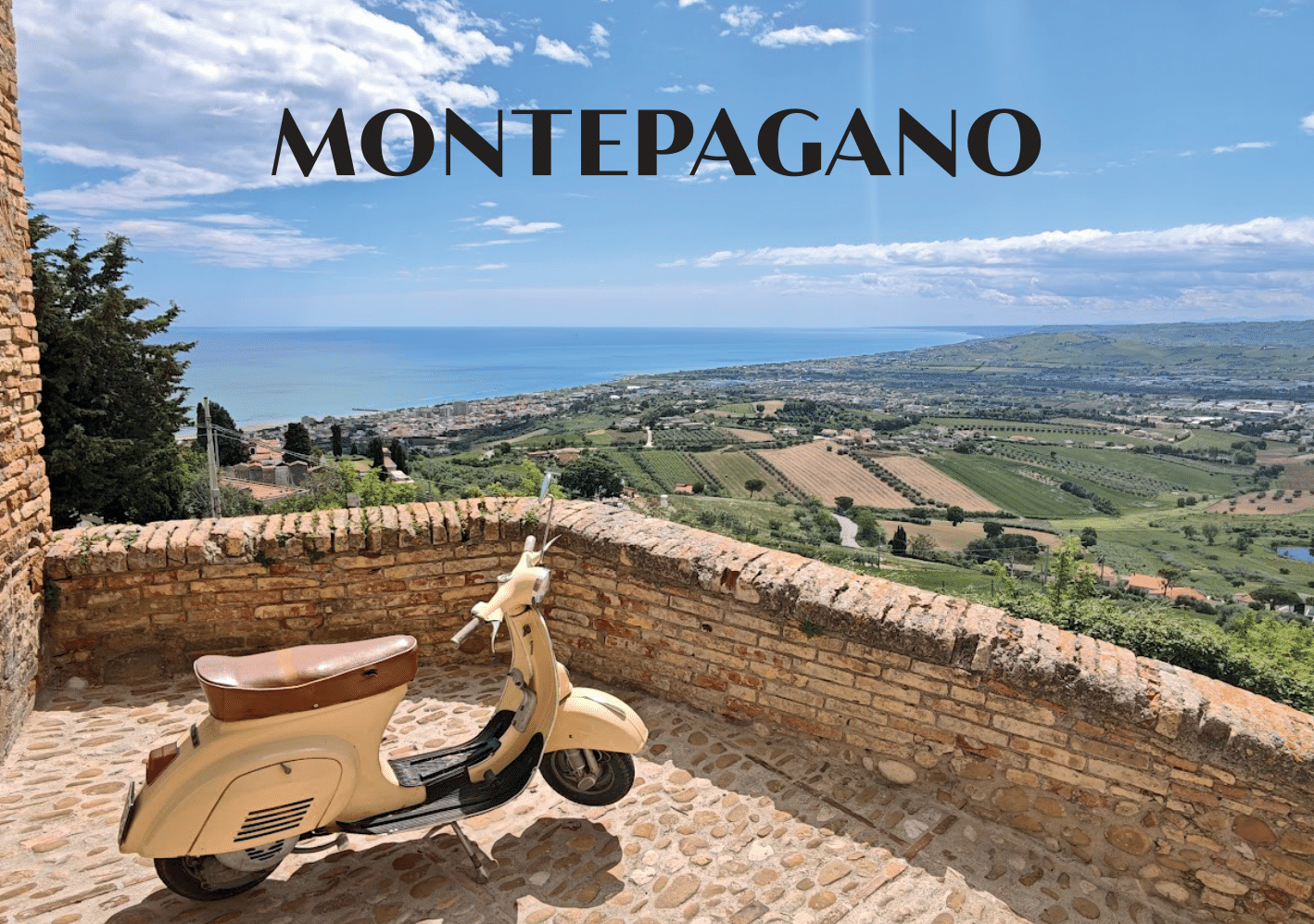 Fronte cartolina