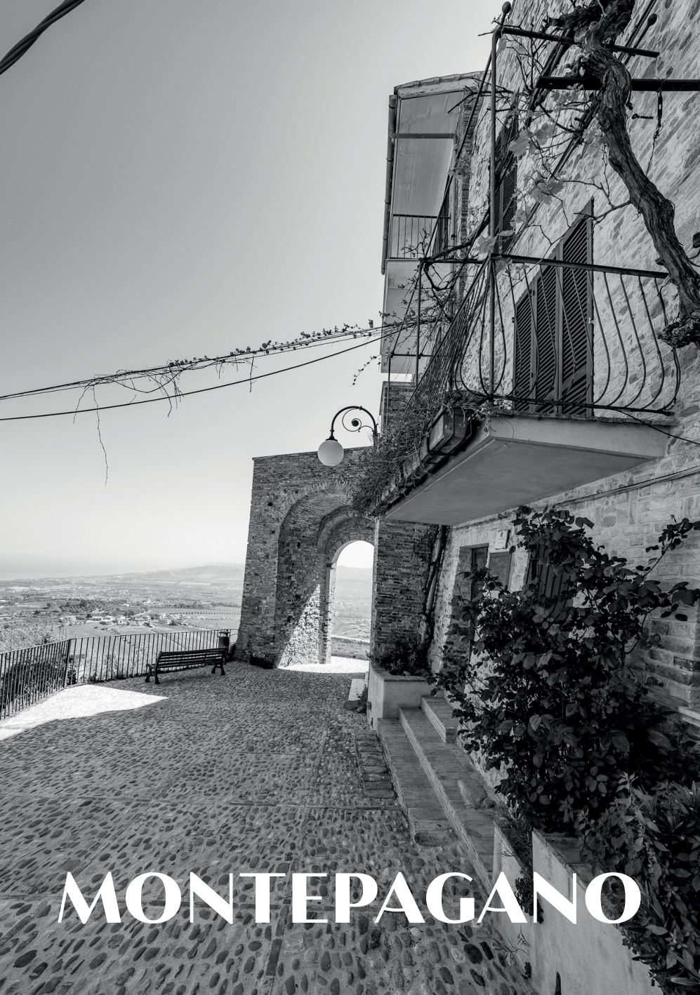 Fronte cartolina