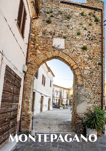 Fronte cartolina