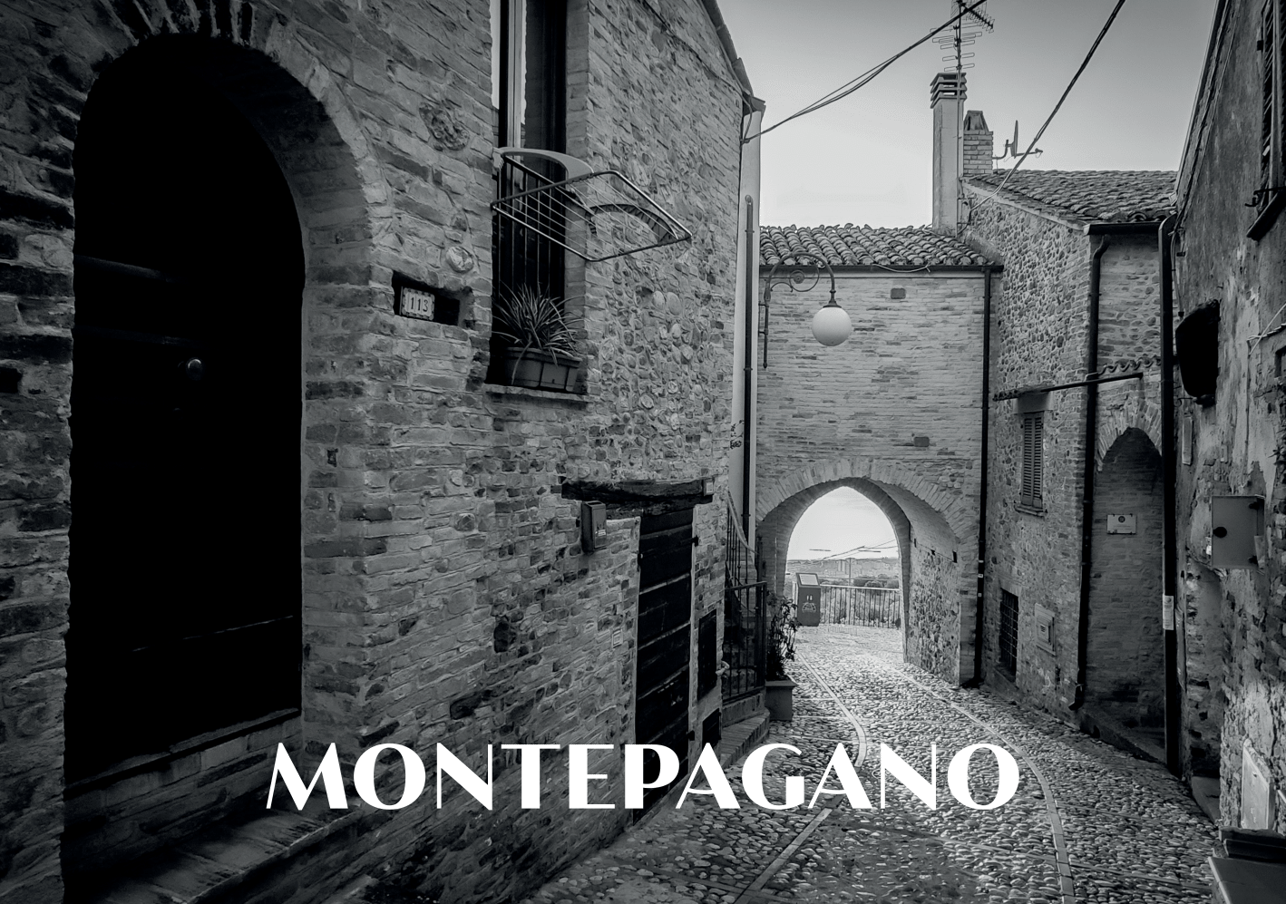 Fronte cartolina
