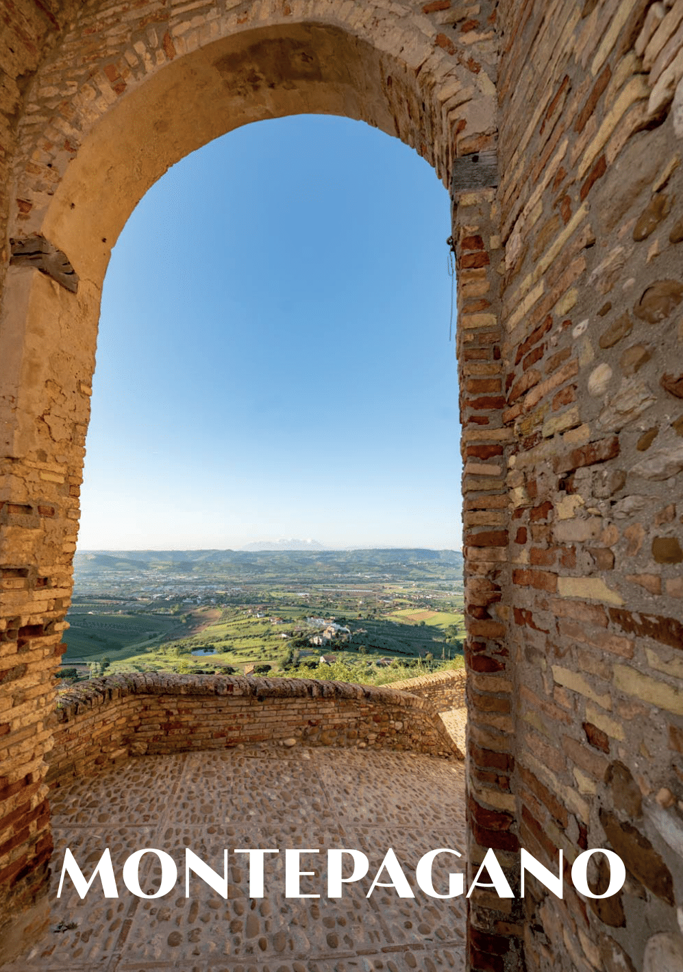 Fronte cartolina