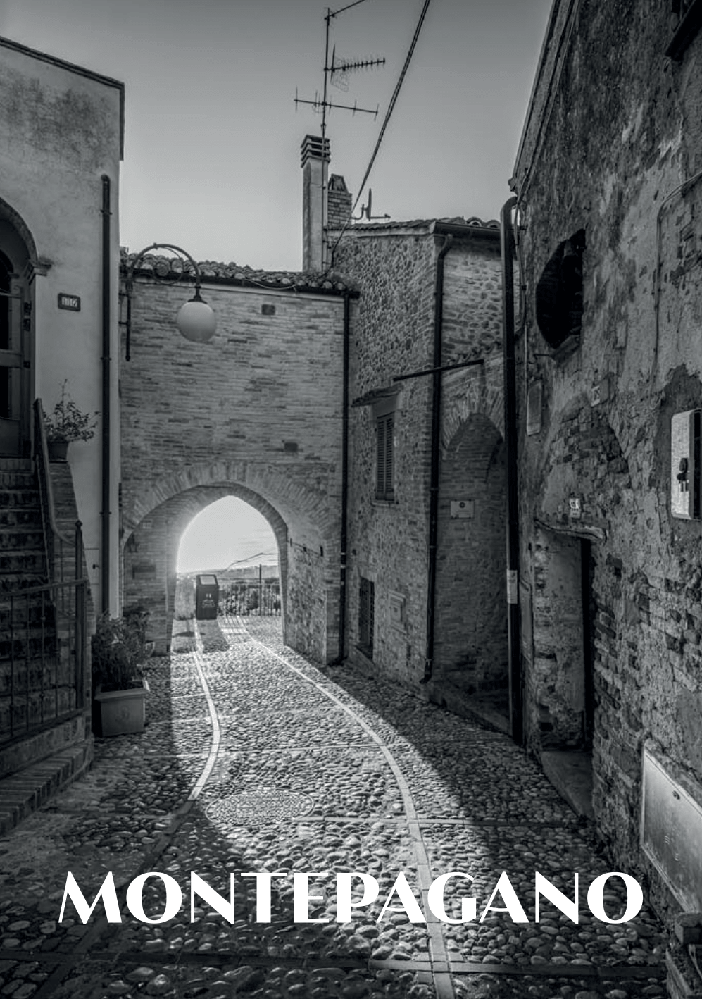 Fronte cartolina