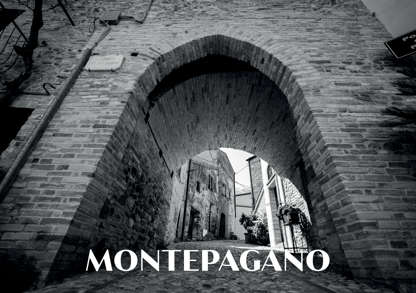 Fronte cartolina